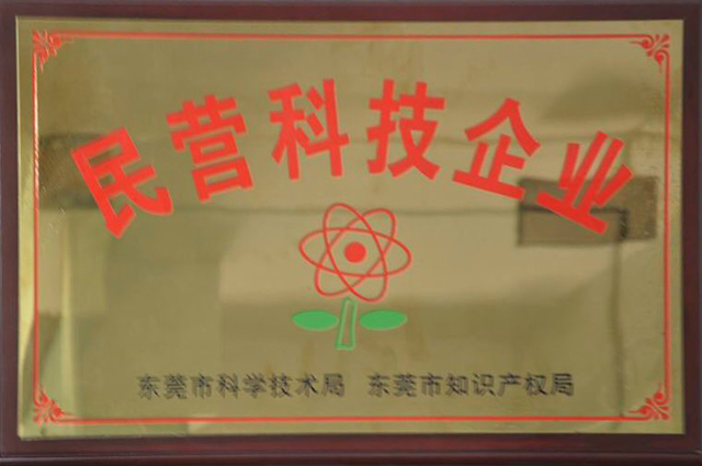 民营科技企业